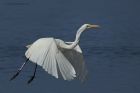 GWE_020914a.jpg