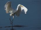 GWE_020914c.jpg