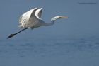 GWE_020914z16.jpg