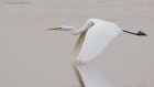 GWE_LM_221118a.jpg