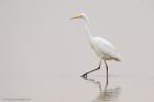 GWE_LM_221118b.jpg