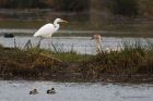 GWE_LM_290120b.jpg