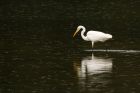 GWE_MSW_210819b.jpg