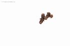 Filename=buzzard_080416f.jpg
Filesize=309KB
Dimensions=1200x800
Date added=Nov 30, 2016 buzzard_080416f.jpg