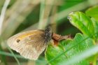 gatekeeper_dunes_030820a.jpg