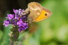 gatekeeper_gdn_240723d_-_Copy.jpg