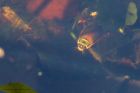 Filename=gdb_gdn_290419a.jpg
Filesize=440KB
Dimensions=1200x800
Date added=Mar 04, 2021 gdb_gdn_290419a.jpg