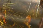 Filename=gdb_gdn_290419b.jpg
Filesize=603KB
Dimensions=1200x800
Date added=Mar 04, 2021 gdb_gdn_290419b.jpg