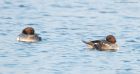 Filename=goldeneye_MM_171118b.jpg
Filesize=473KB
Dimensions=1350x722
Date added=Mar 24, 2021 goldeneye_MM_171118b.jpg