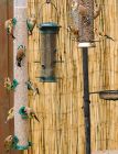 Filename=goldfinch.jpg
Filesize=711KB
Dimensions=921x1200
Date added=Mar 29, 2021 goldfinch.jpg