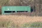 marshHarrier_031011g.jpg