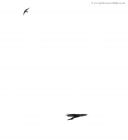 Filename=sprawk_150416b.jpg
Filesize=84KB
Dimensions=874x950
Date added=Nov 30, 2016 sprawk_150416b.jpg
