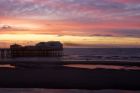 Filename=starling_110114f.jpg
Filesize=287KB
Dimensions=1200x800
Date added=Mar 06, 2014 starling_110114f.jpg