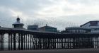 Filename=starlings_201114g.jpg
Filesize=335KB
Dimensions=1400x759
Date added=Jan 19, 2015 starlings_201114g.jpg